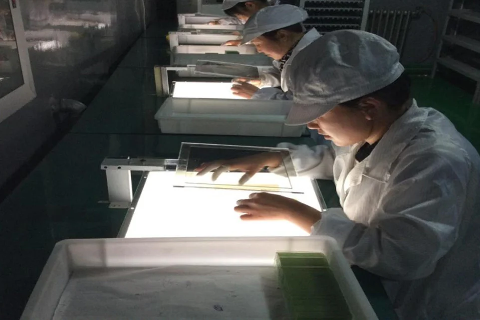 Visual inspection